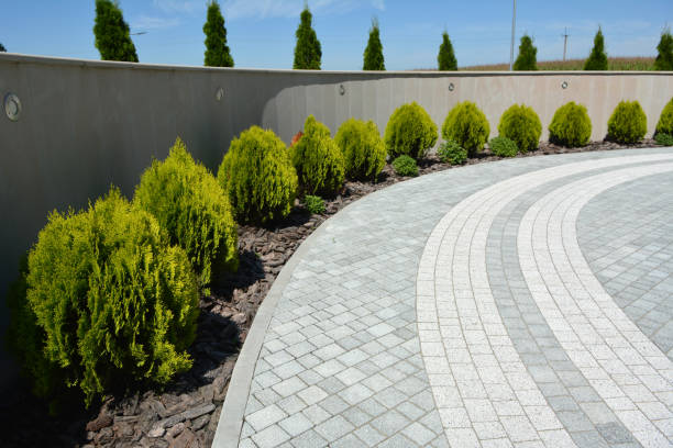 Best Residential Paver Driveway  in Dupo, IL